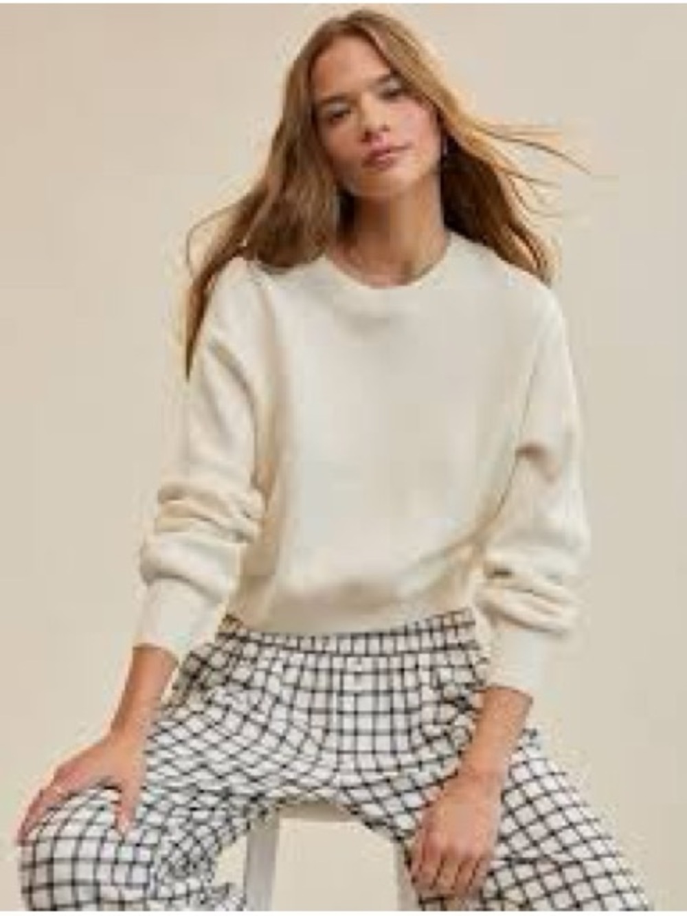 Aerie crewneck sweater